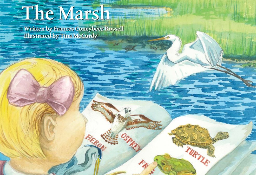 Cover of The Marsh